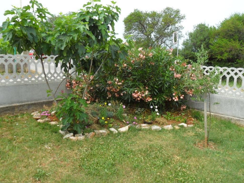 Apartman Hrga Pula